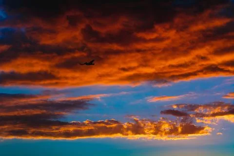 Bird silhouetted against dramatic orange mexican sunset clouds Stock Photos
