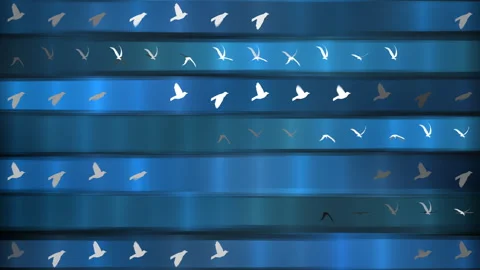 Bird Silhouettes in Flight on Gradient Blue Background Stock Footage 309105860