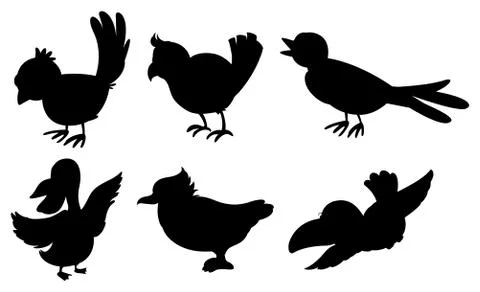 Bird silhouettes 스톡 일러스트