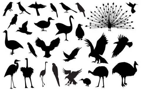 Bird silhouettes Stock Illustration