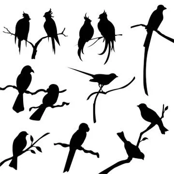 Bird silhouettes Stock Illustration