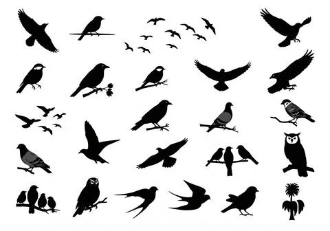 Bird Silhouettes Vector Set illustration Illustrazione stock