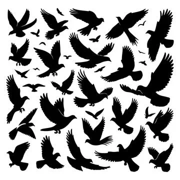 Bird silhouettes on white Stock Illustration