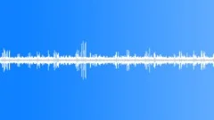 Bird Singing And Forest Stream AmbientSound Effect