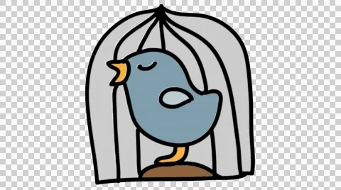 Bird singing in the cage hand drawn animation line sketch with transparent Stock Footage 44203800