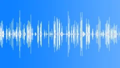Bird SingingSound Effect