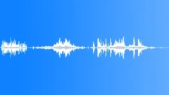 Bird Single & Group Wing Flaps Close Up One Foley Single Then Group Flurry (Rea Sound Effect