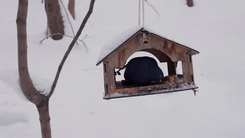 A bird sits and eats in feeder in the snow Stockbeeldmateriaal 328987932