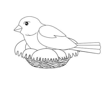 Bird sits on a nest - vector linear picture for coloring. A small bird Illustrazione stock
