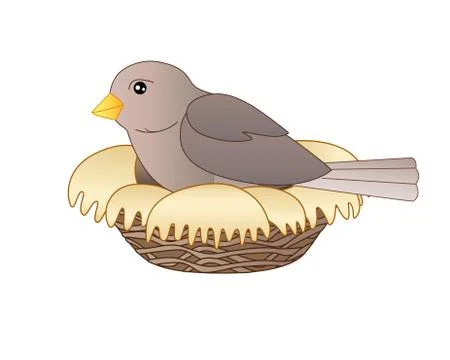 Bird sits on a nest - vector linear full color vector illustration. Stock Illustration