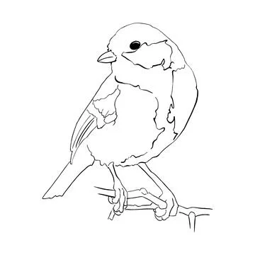 A bird is sitting on a branch Stock Illustration