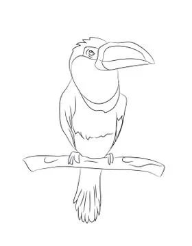 Bird sitting on a branch, lines, vector Stock Illustration