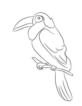 Bird sitting on a branch, lines, vector Stock Illustration