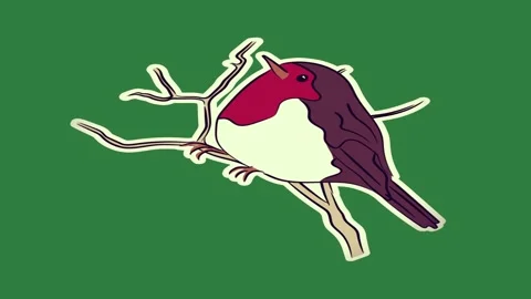 Bird sitting on branch red is of tree isolated isolated on green screen Stock Footage 336858157