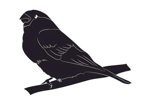 Bird sitting on a branch, silhouette, vector Stock Illustration