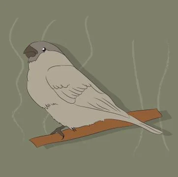 Bird sitting on a branch, vector Stock Illustration