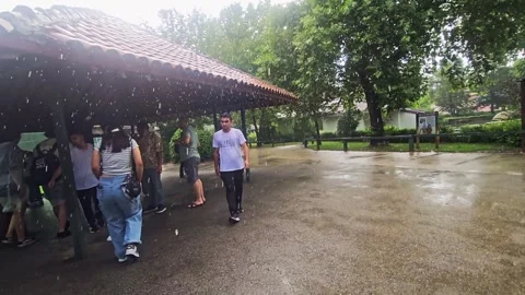 A bird that is sitting. Stock Footage 282633618