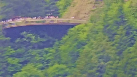 A bird that is sitting. Stock Footage 284635766