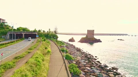 A bird that is sitting. Stock-Footage 284688039