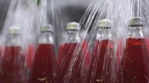 A bird sitting on top of a cage Video stock 131955607