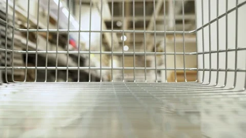 A bird sitting on top of a cage 库存影片 157869686