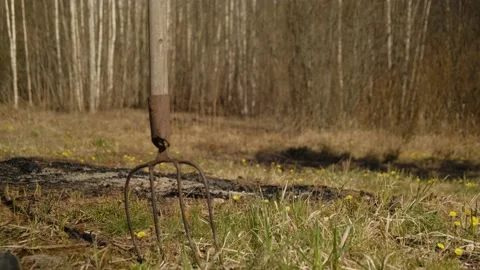 A bird sitting on top of a grass covered field Stock Footage 131963547