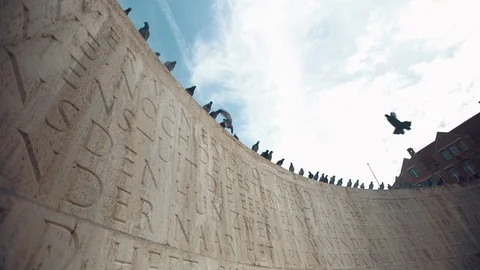 Bird sitting on wall Stock Footage 94525288