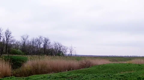 Bird in sky over the field Stock-Footage 41103965