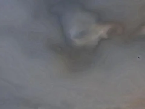 A bird in the sky Stock Photos