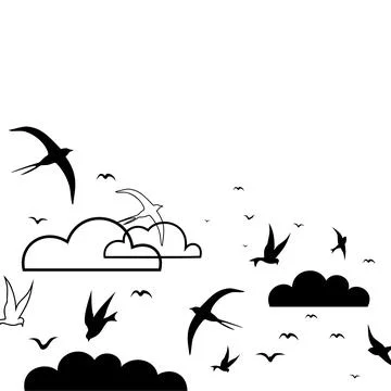 Bird in the sky Stock Photos