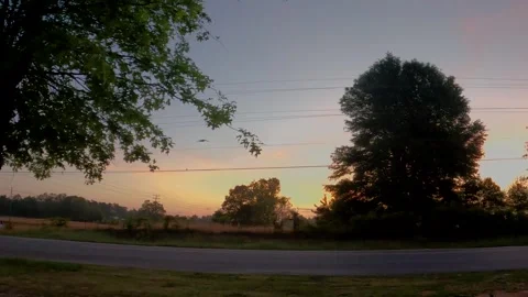 Bird in slow motion and golden hour in the country Stock Footage 185202144