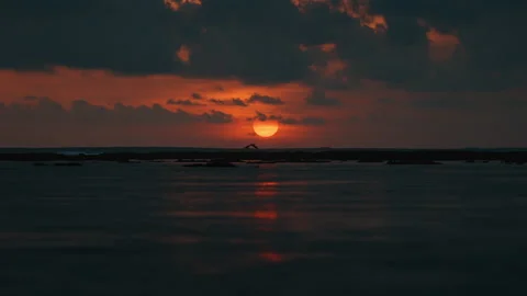 Bird soaring over ocean at sunset bali Stock Footage 303394711