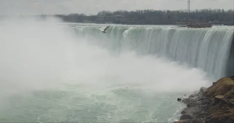 Bird soaring in slow motion with Niagara Falls in background (no color grade) Stock Footage 293046617