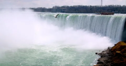 Bird soaring in slow motion with Niagara Falls in background, wide shot Stock Footage 293046720