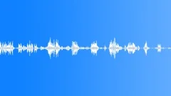 Bird Song with Crow CallsSound Effect