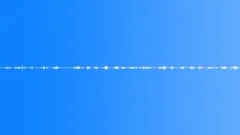 Bird Songs AmbienceSound Effect