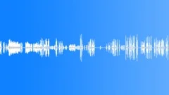 Bird SongsSound Effect