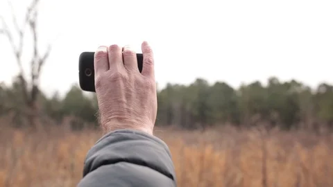 Bird sound Видео 104975777