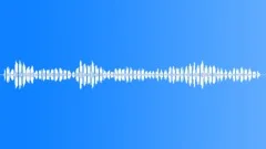 BIRD, SPARROW HAWKSound Effect