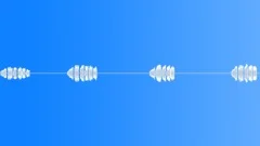 BIRD, SPARROWSound Effect