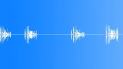 BIRD, SPARROWSound Effect