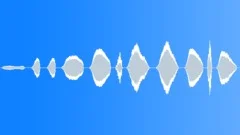 BIRD, SPARROWSound Effect