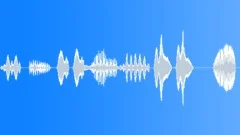 BIRD, SPARROWSound Effect