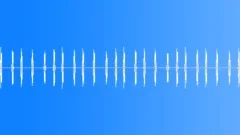 BIRD, SPARROWSound Effect
