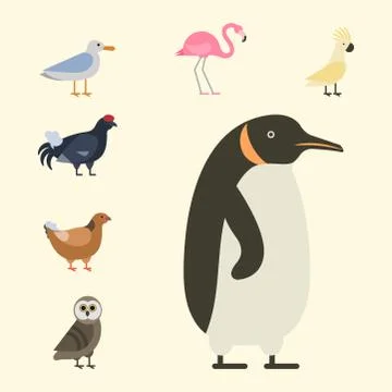 Bird species collection different vector illustration wild animal characters Stockillustratie