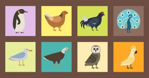 Bird species collection different vector illustration wild animal characters イラスト素材
