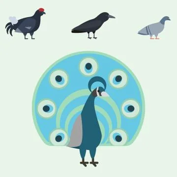 Bird species collection different vector illustration wild animal characters Illustrazione stock