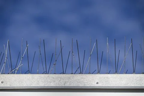 Bird spikes point skywards to stop birds perching Stock Photos