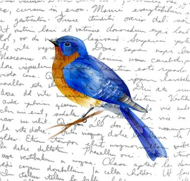 Bird of Spring vector Stock Illustration