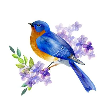 Bird of Spring vector Stock Illustration